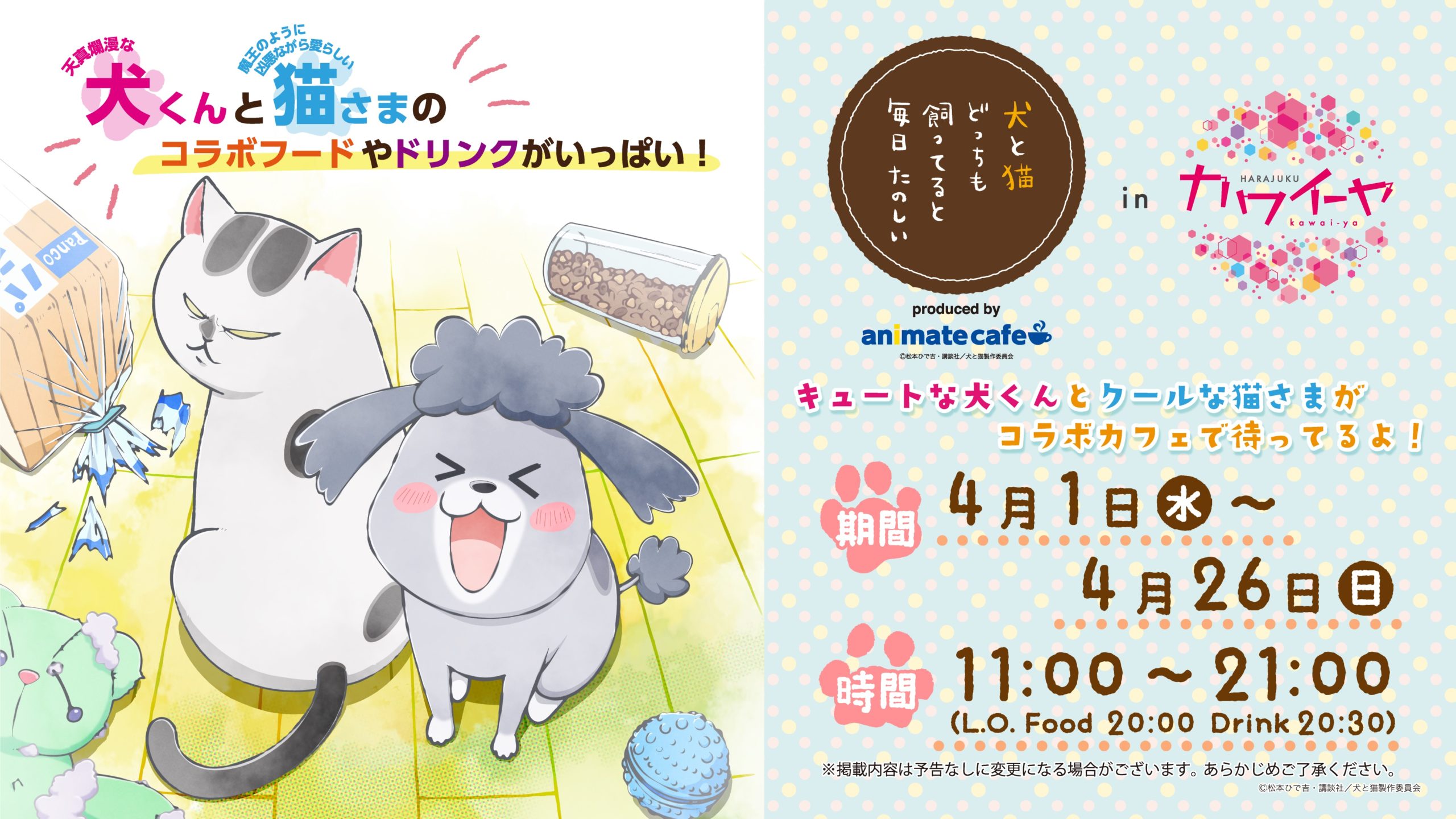 原宿カワイーヤでのコラボカフェが開催決定 Tvアニメ 犬と猫どっちも飼ってると毎日たのしい 公式サイト
