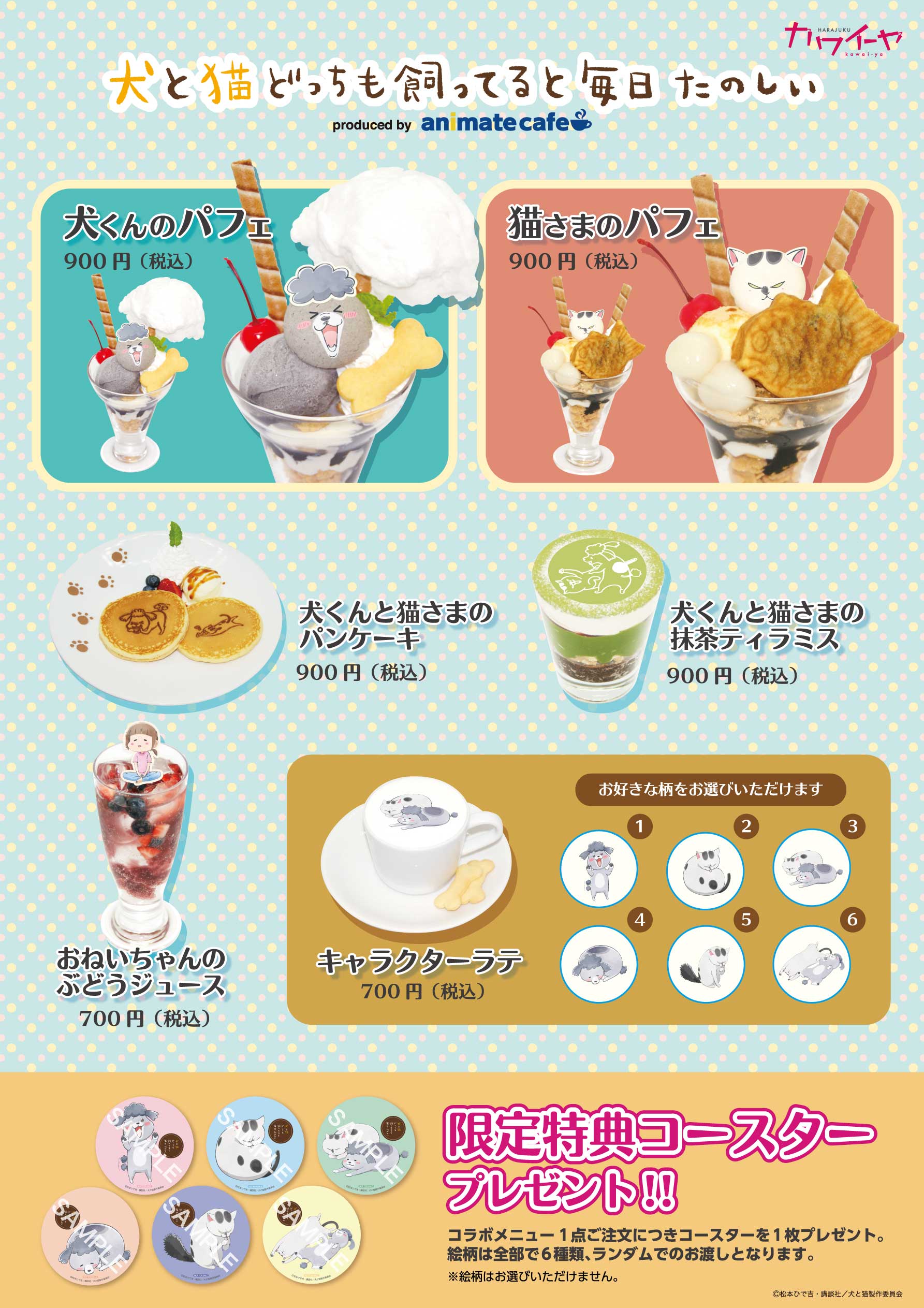 原宿カワイーヤにてコラボカフェのリバイバル開催が決定 Tvアニメ 犬と猫どっちも飼ってると毎日たのしい 公式サイト