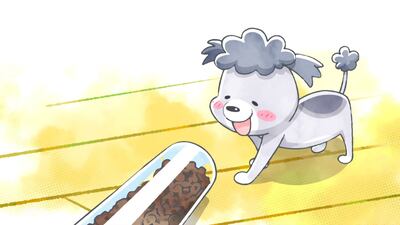 Story | TVアニメ「犬と猫どっちも飼ってると毎日たのしい」公式サイト